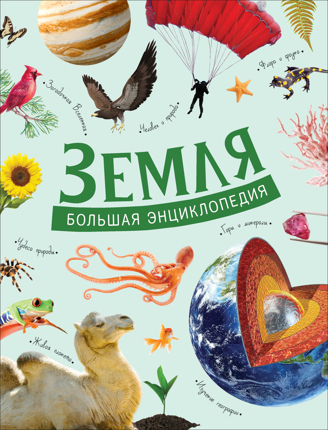 

Земля. Большая энциклопедия - Минеев В. Б., Никитина А.А. (9785353093497)