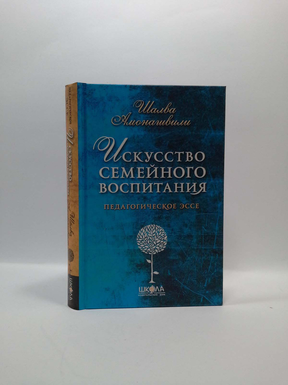 

Искусство семейного воспитания. Шалва Амонашвили, Школа