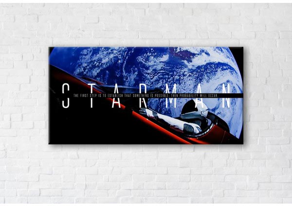 

Картина на холсте IBR Starman 70x140 см