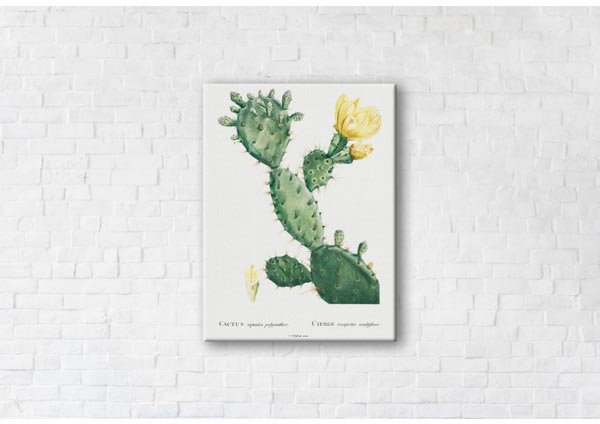 

Картина на холсте IBR Cactus Yellow 50x65 см