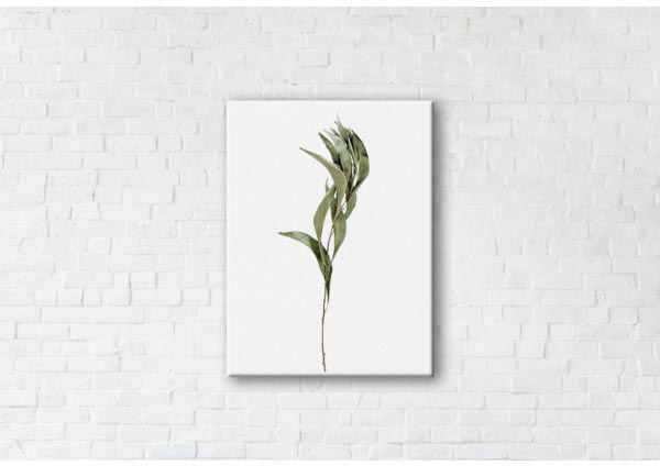 

Картина на холсте IBR Free 45x60 см