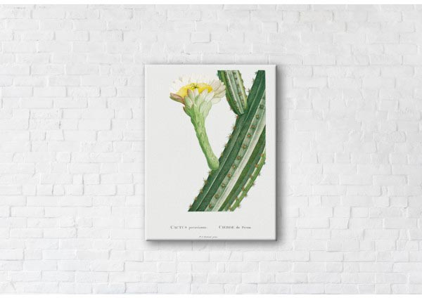 

Картина на холсте IBR Cactus 45x60 см
