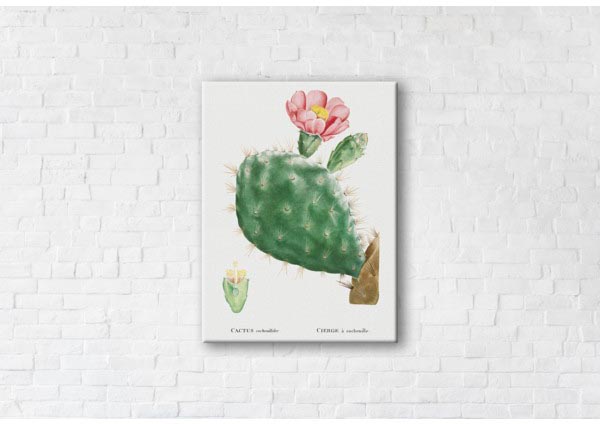 

Картина на холсте IBR Cactus Pink 75x100 см