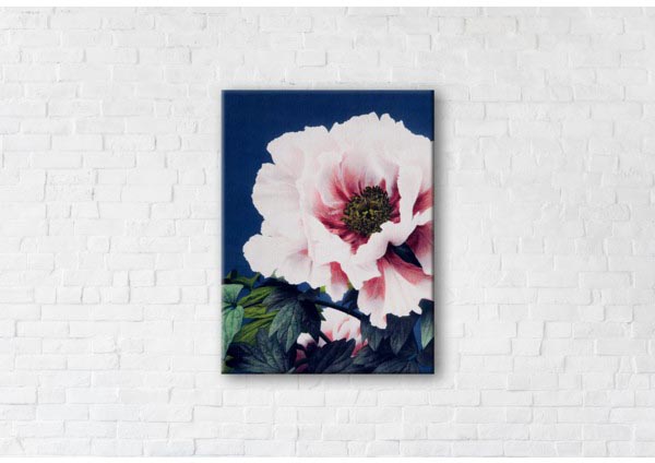 

Картина на холсте IBR Poppy 90x120 см