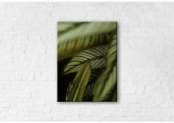 

Картина на холсте IBR Leaves 45x60 см
