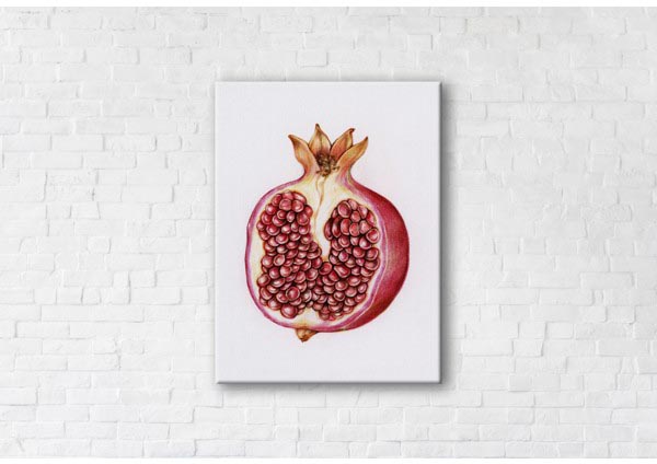 

Картина на холсте IBR Pomegranate 50x65 см