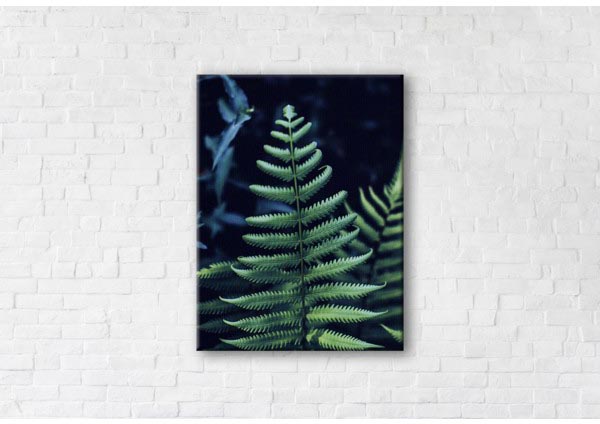 

Картина на холсте IBR Bracken Fern 90x120 см