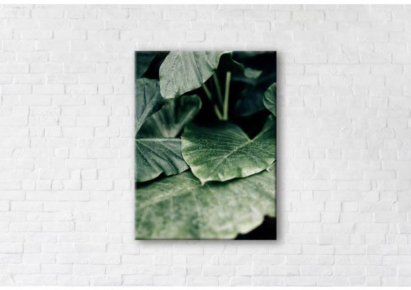 

Картина на холсте IBR Freshness 90x120 см