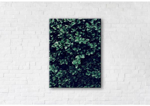 

Картина на холсте IBR Green Life 90x120 см