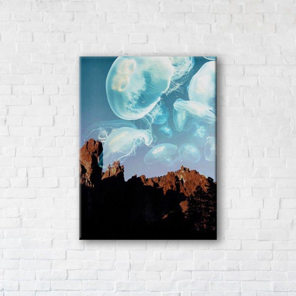 

Картина на холсте IBR Jellyfishes 75x100 см