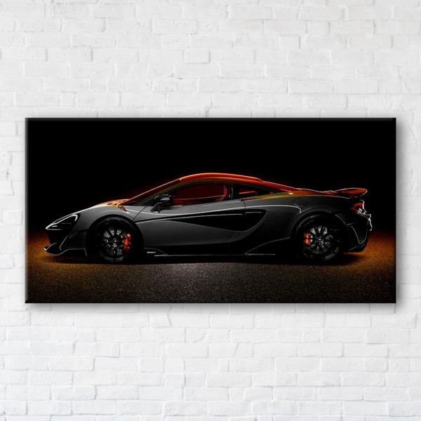 

Картина на холсте IBR Fast Car 50x100 см