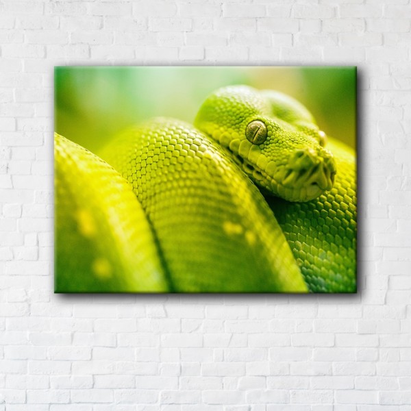 

Картина на холсте IBR Green Snake 90x120 см