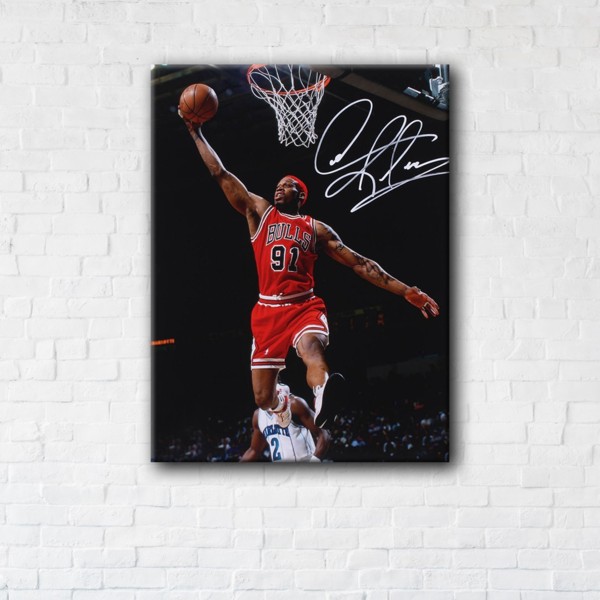 

Картина на холсте IBR Dennis Rodman 50x65 см