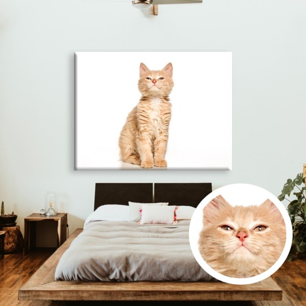 

Картина на холсте IBR Suspicious cat 75x100 см