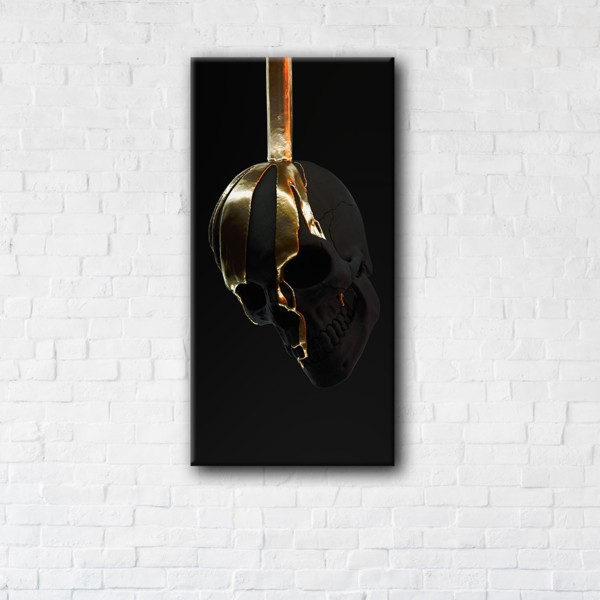 

Картина на холсте IBR Black Skull 90x180 см