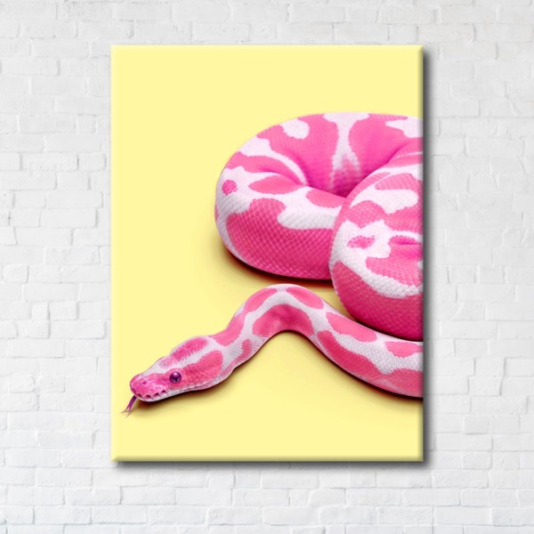 

Картина на холсте IBR Pink Snake 90x120 см