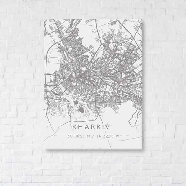 

Картина на холсте IBR Kharkiv White Map 50x65 см