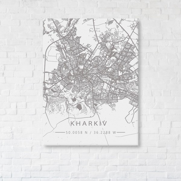 

Картина на холсте IBR Kharkiv White Map 110x145 см