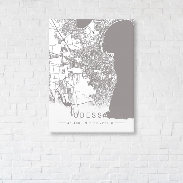 

Картина на холсте IBR Odessa White Map 50x65 см