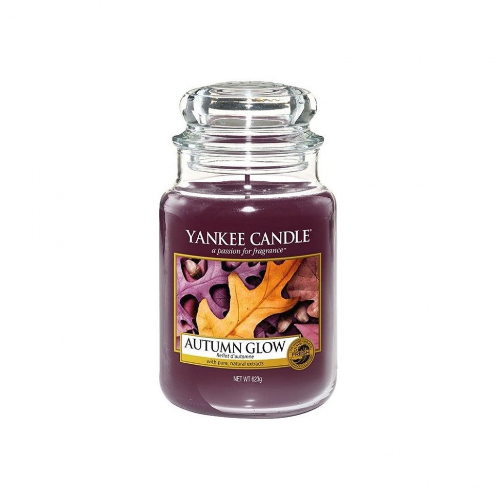 

Ароматическая свеча Yankee Candle Осенний свет (623 г)
