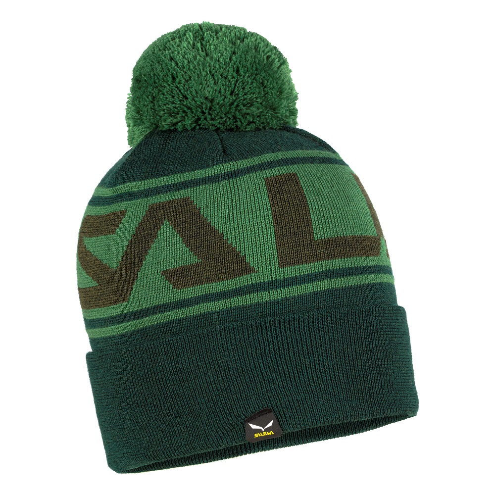 

Шапка Salewa Antelao Pom Beanie Зеленый (1054-013.002.8831)