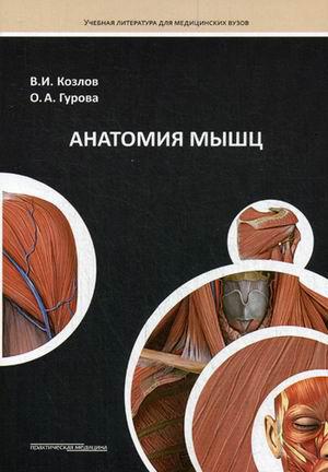 

Козлов В.И., Гурова О.А. Анатомия мышц. Учебное пособие (978-5-98811-365-2) Изд. Практическая медицина