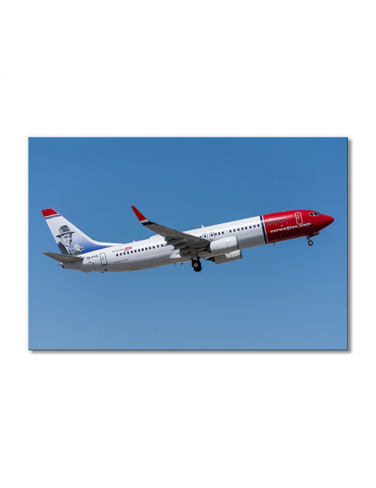 

Модульная картина Artel «Боинг 737 Норвежский» 1 модуль 50x75 см