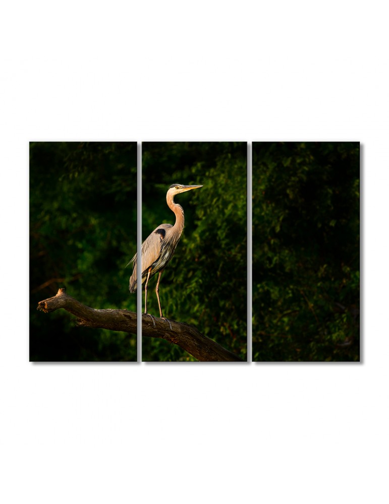 

Модульная картина Artel «Большая голубая цапля» 3 модуля 90x135 см