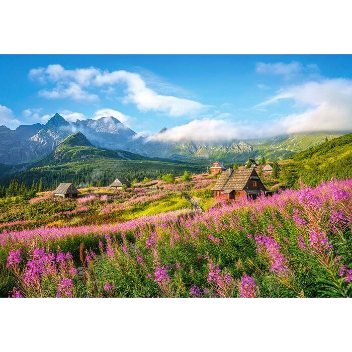 

Кастор пазлы 1000 "Татра Природа Польши" 68*47