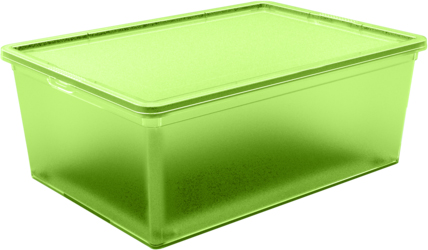 

Контейнер для хранения с крышкой Qutu Light Box Transparent Green 10 л (LB TRANSPARENT с/к GREEN 10л.)