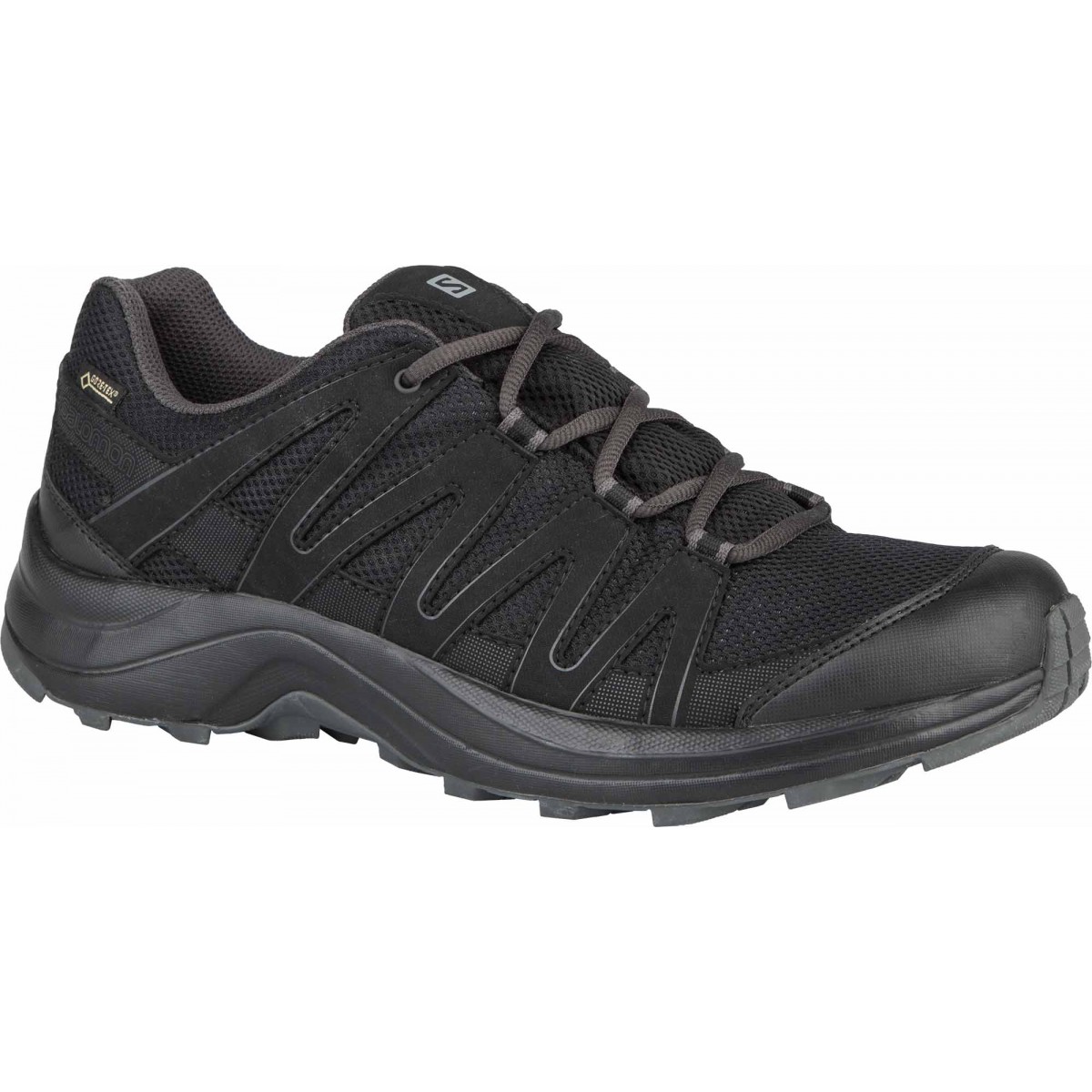 

Кроссовки Salomon XA TICAO GTX, 41.3 (260 мм)