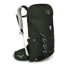

Рюкзак Osprey Talon 18 M/L Yerba Green (1054-009.1904)