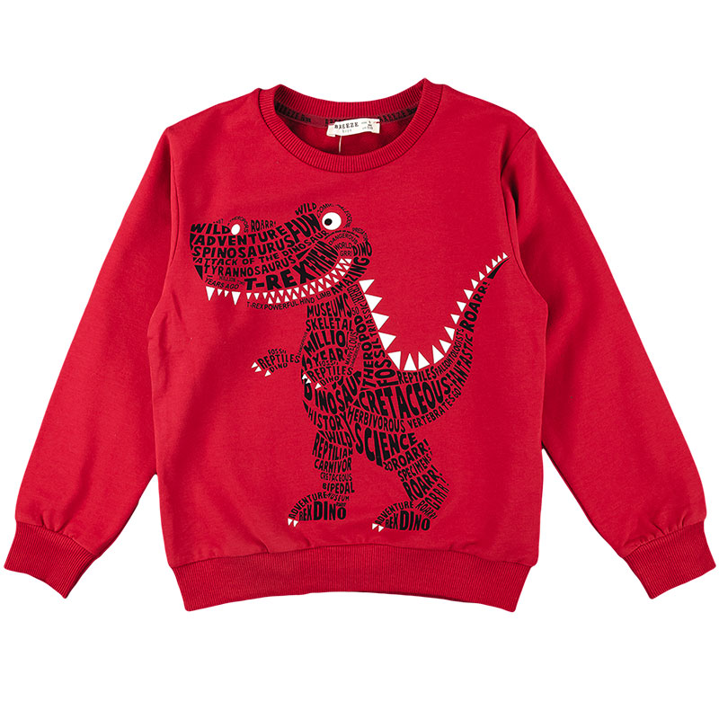 

Реглан для мальчика BREEZE 16518 128 см темно-красный