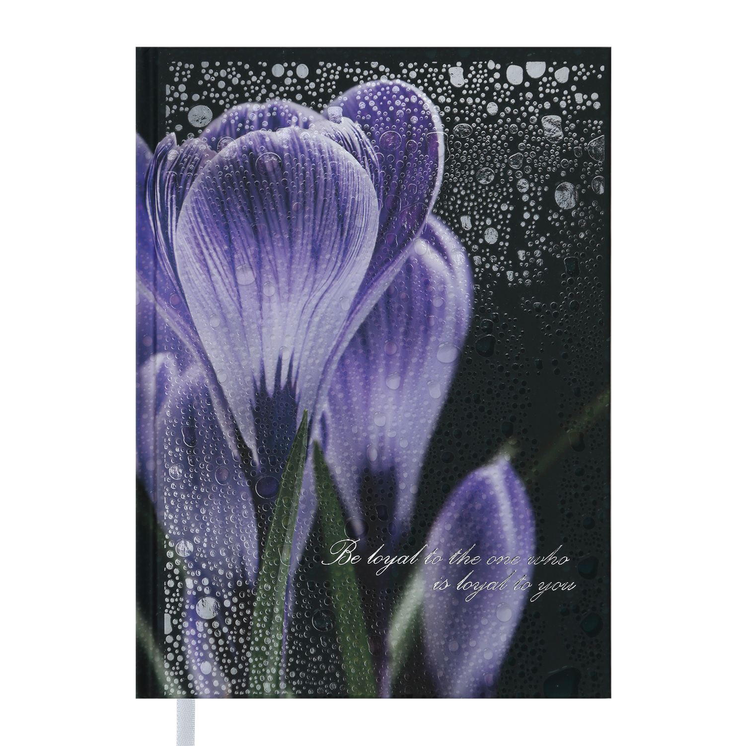 

Щоденник недатований POSH, A5, фіолетовий BM.2013-01