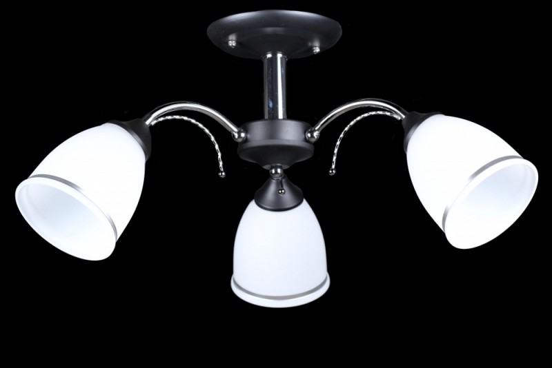 

Люстра с плафонами Ray L2730/3 (BK+CR) (AN002722)