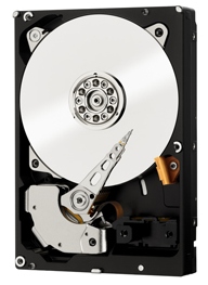 

HDD SAS 2.0TB WD Enterprise Class 7200rpm 32MB (WD2000FYYG)