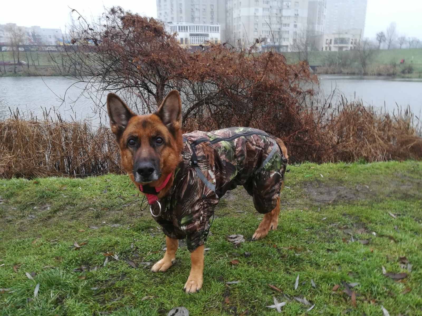

Дождевик Diego Rain NEW для девочек 4