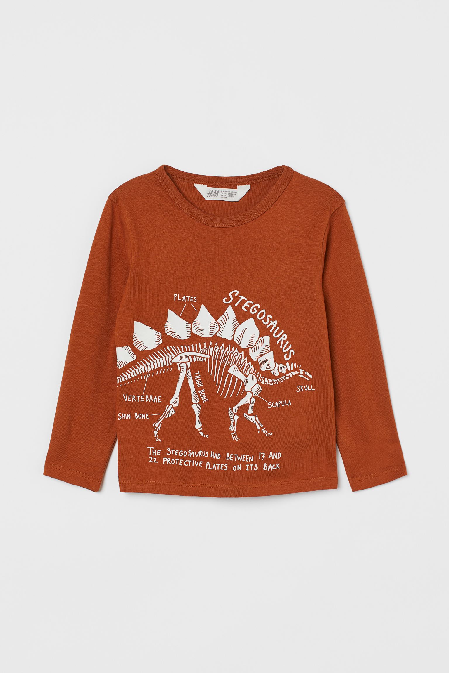 

Реглан з динозавром H&M 98/104 Коричневий