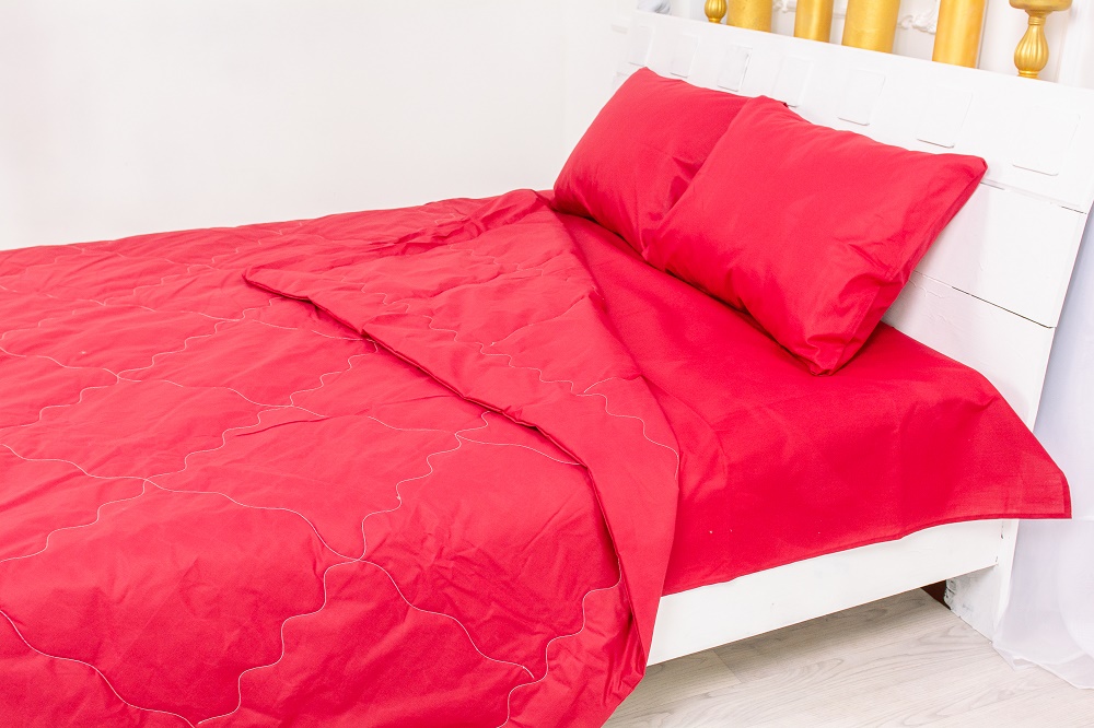 

Набор MirSon №2401 EcoSilk 19-1655 Edmonda (одеяло + 2 наволочки + простынь) 155х215 см + 150х220 см + 50х70 см италия, ecosilk