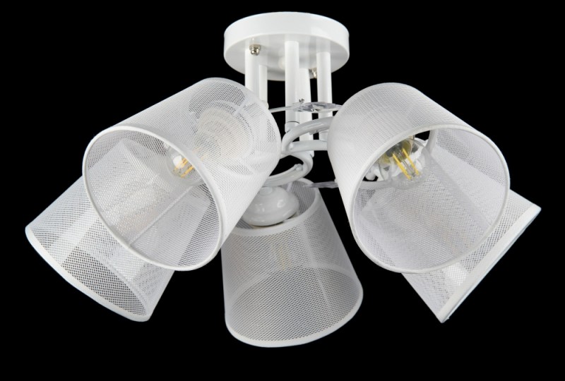 

Люстра с плафонами Ray L125/5 (WT) (AN002817)
