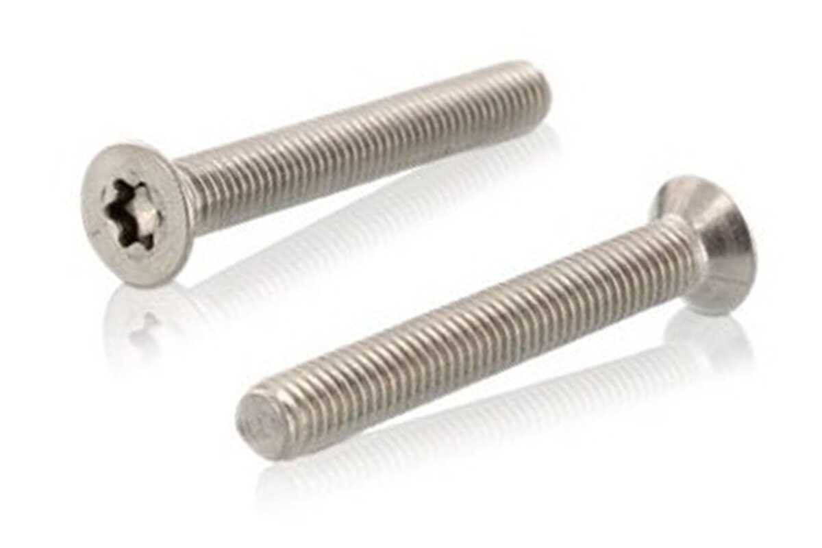 

Гвинт ISO 14581 M5x22 A4 TX25, 500 шт.