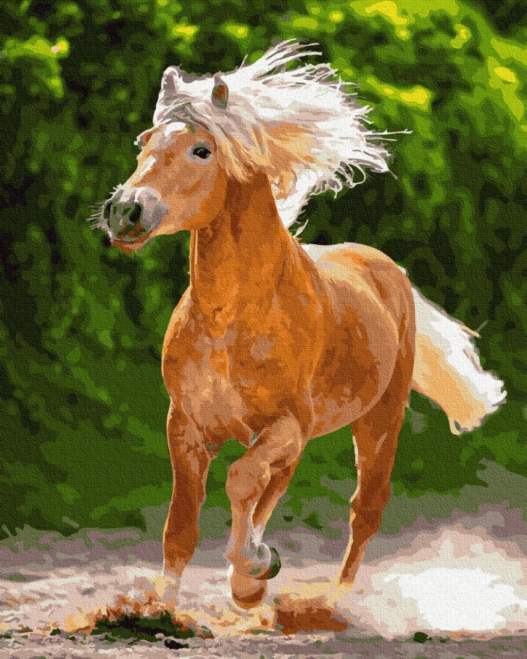 

Картина по номерам Галоп, 40x50 Rainbow Art (GX30063) (0096-1988)
