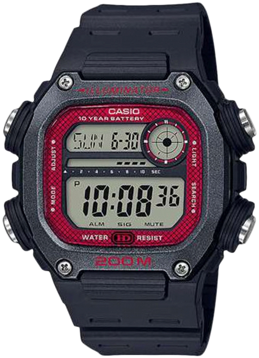

Мужские часы CASIO DW-291H-1BVEF