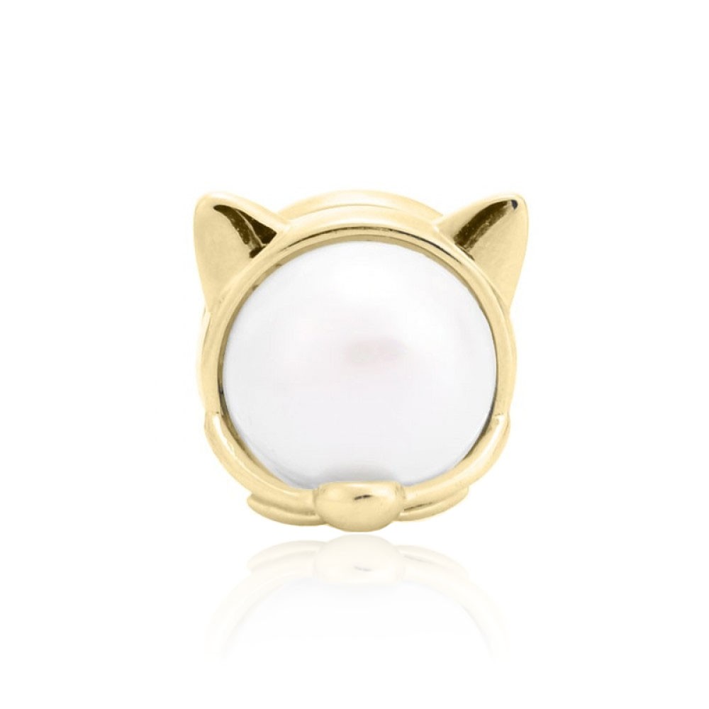 

Брошь магнитная BROCHE бижутерия Животные Котик BRMG111534