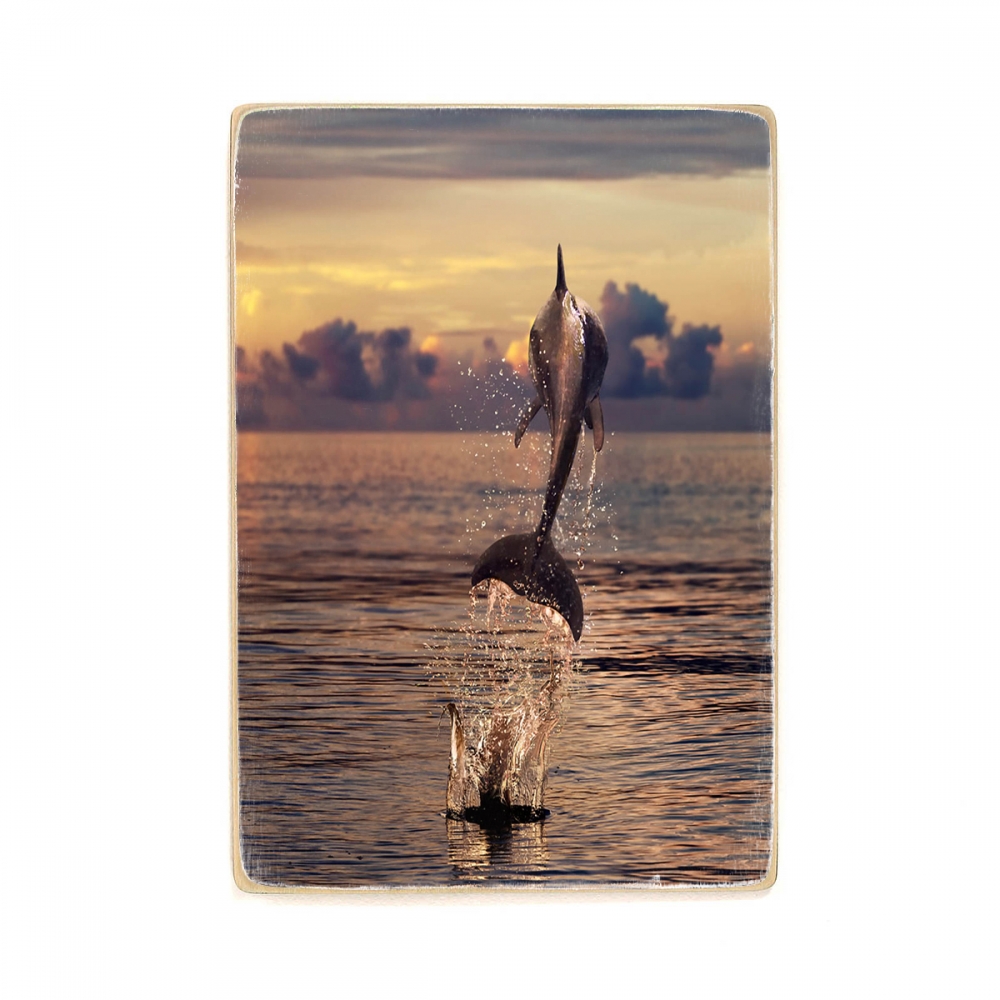 

Деревянный постер Животные Dolphin Jumping Into The Sea А1