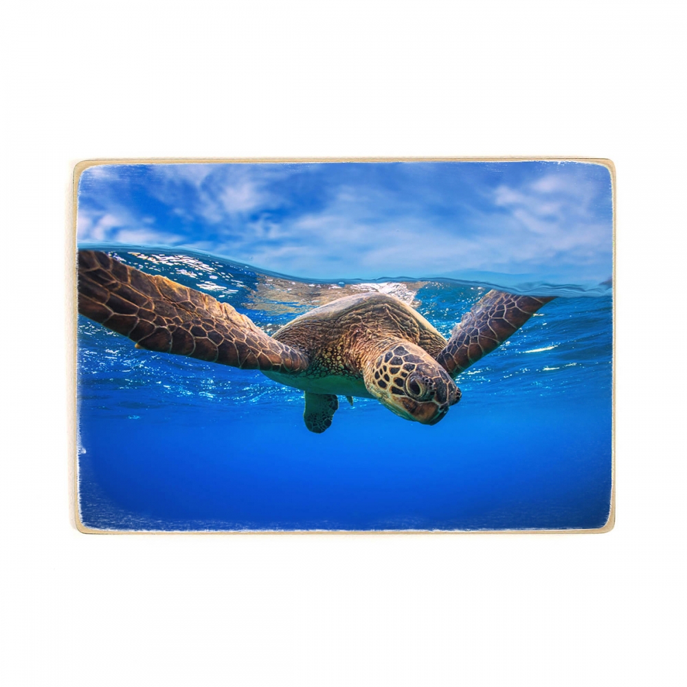 

Деревянный постер Животные Sea Turtle Portrait А1