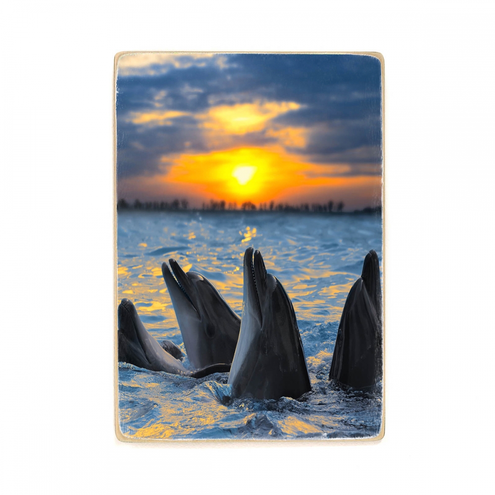 

Деревянный постер Животные Dolphins At Sunset А2