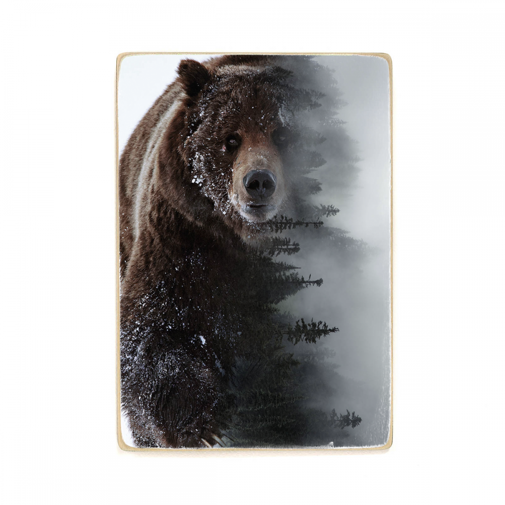 

Деревянный постер Животные Brown Bear А1
