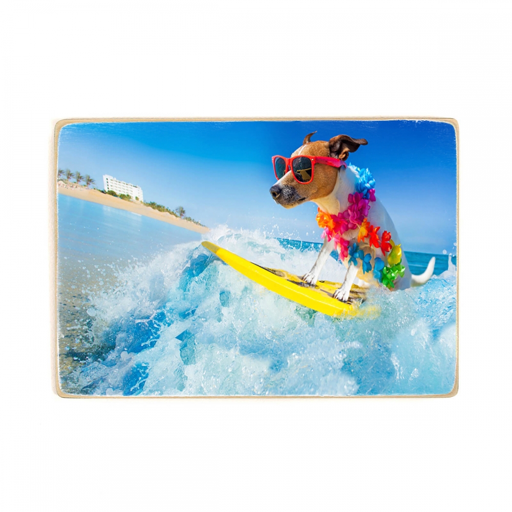 

Деревянный постер Природа A Dog On A Surf On A Wave А1
