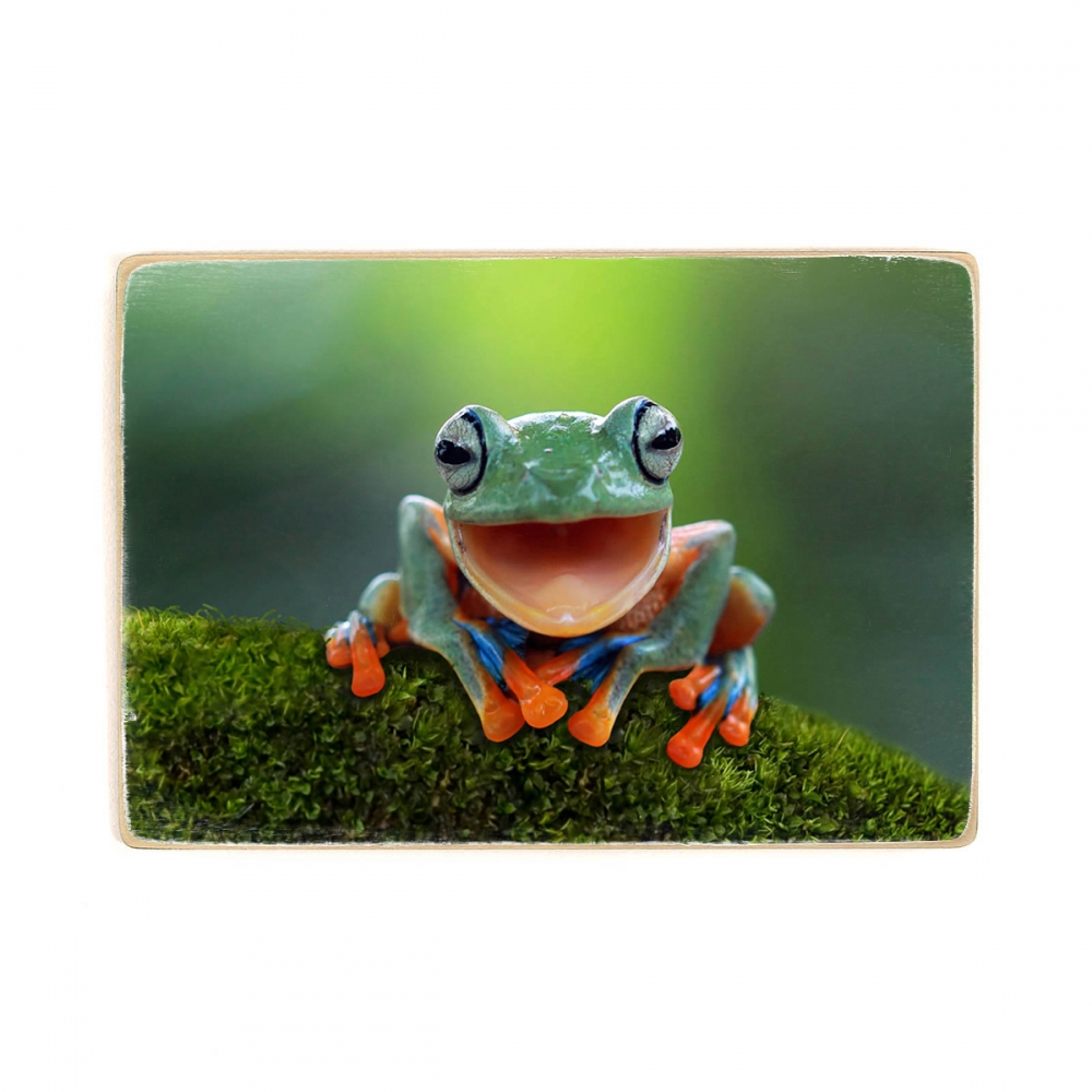 

Деревянный постер Животные Flying Frog А2